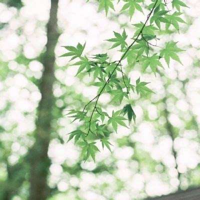 Kaiyun·开云体育