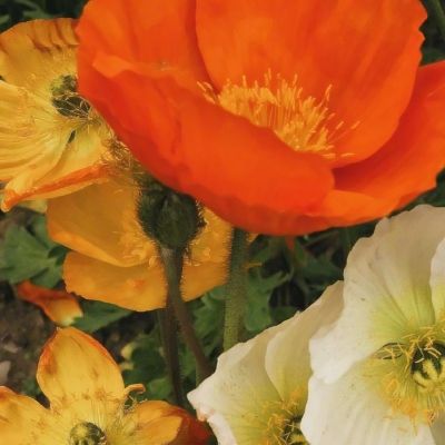 万博·体育-登录入口