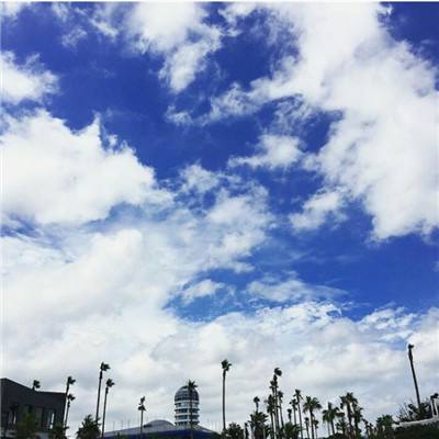 ag真人平台官方