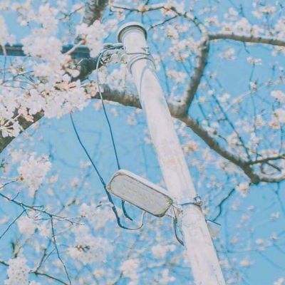 半岛登录入口-登录入口