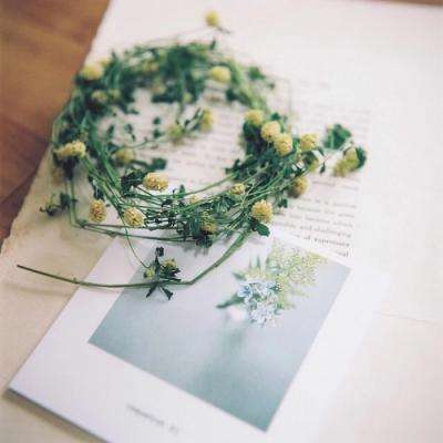 半岛手机网页版登录