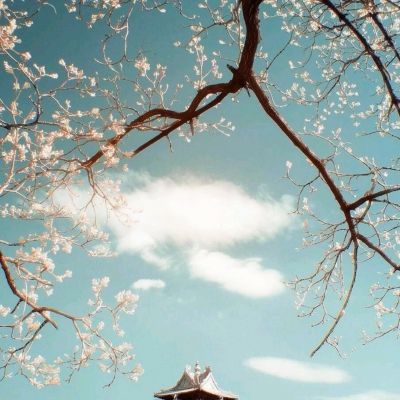 必博app下载地址