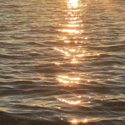 安博体育最新登录地址