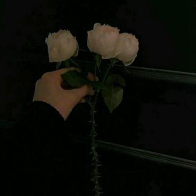 亚虎娱乐app下载